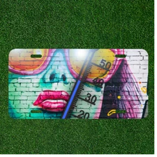 Custom Personalized License Plate Auto Tag With Creative Building Women Design