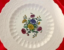 6 Rare Vintage SPODE COPELAND Olga 7 3/4  inch  Salad  Plates  NEW