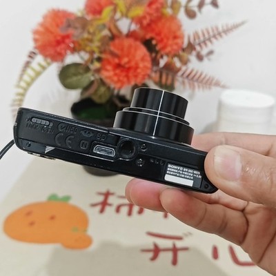 SONY Cyber-shot DSC-W570 16.1MP 5x Optical Zoom Digital Camera