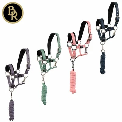 BR BIEMANN DE HAAS BR Halfter mit Anbindestrick für Shetty