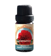 Carnation Absolute Oil 100% Pure Therapeutic Grade Undiluted Nature