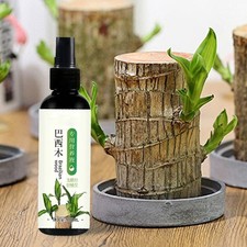 Brasilianisches Holzpflanzenfutter 100 ml Lucky Bamboo Flüssigdünger HEISS 202