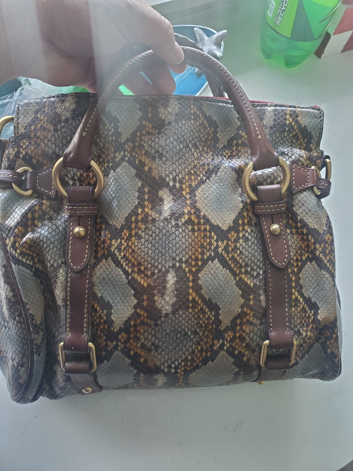 Limited Edition Dooney And Bourke Python Leather … - image 4