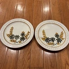VINTAGE Stangl Golden Blossom Dinner Plate 10" Diameter USA Lot 2