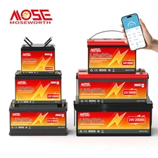 12V 24V 36V 48V 100Ah 300Ah 600Ah LiFePO4 Bluetooth Lithium Battery BMS Solar