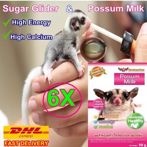 sugar glider milk