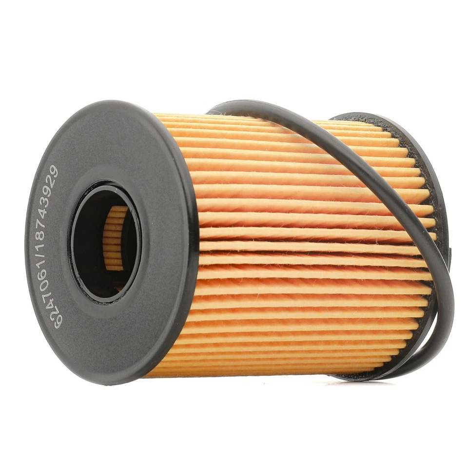 FILTRO OLIO FIAT 1.3 MULTIJET PUNTO PANDA YPSILON 500 IMPIANTO PURFLUX - Immagine 2 di 4