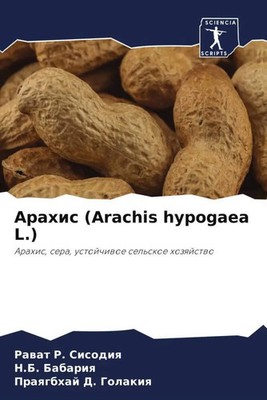 Rawat R. Sisodiq (u. a.) | Arahis (Arachis hypogaea L.) | Taschenbuch | Russisch