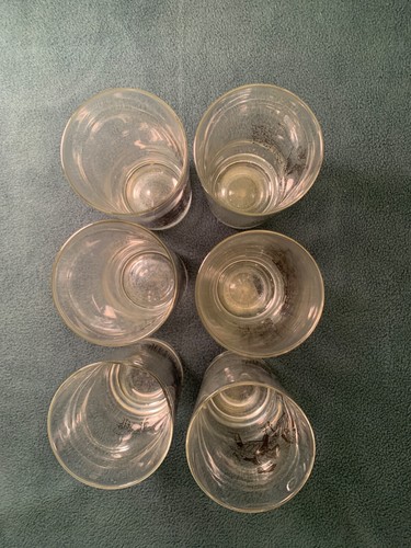 6 Vtg MASSACHUSETTS Souvenir Glasses:Paul Revere, Charlemont Indian, Tea Party.. - Picture 15 of 17