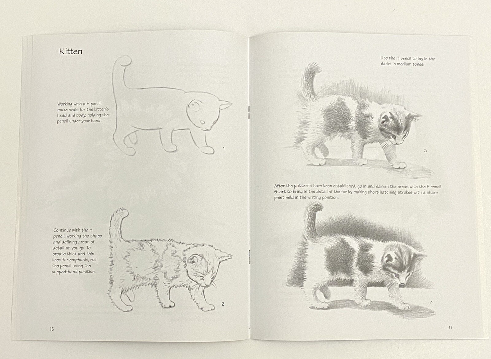 Pencil Drawing Guides by Walter Foster Set of Four Books Plus Pencil Set eBay