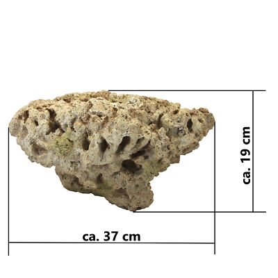Riffgestein, 37 x 24 x 19 cm, Felsen Stein Nachbildung,Meerwasser Aquarium  Deko | eBay.de