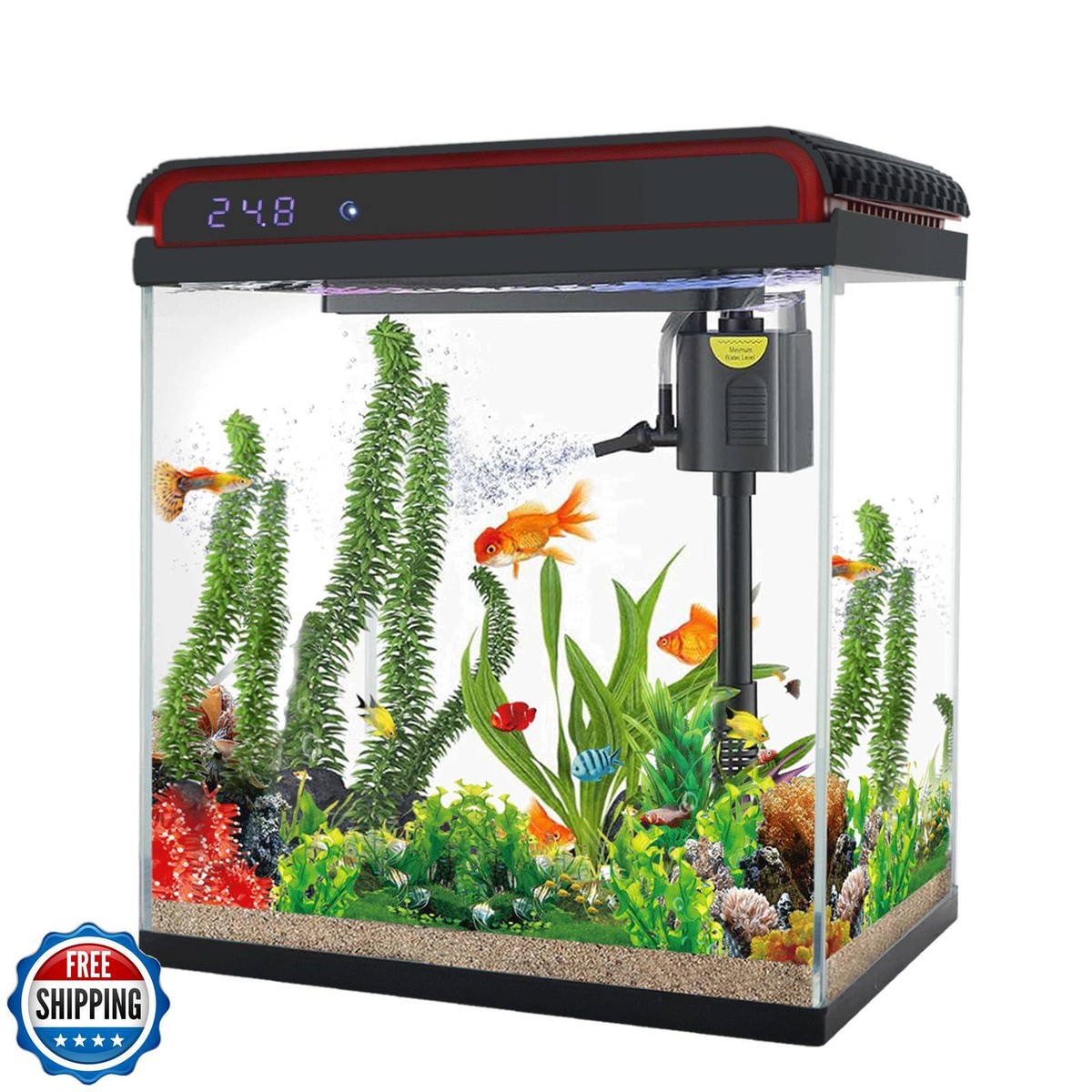 Betta Aquarium Petsmart Starter Fish Tank Gallon Betta Fish Tank