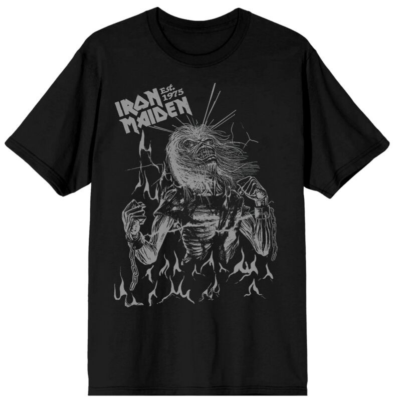Футболка Iron Maiden с изображением группы Herren LAD Flames schwarz-Товары Группы Nachhaltigkeit 4990₽