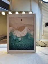 BRAND NEW Apple iPad 2nd Gen, 256GB, 12.9Inch (Open Box)