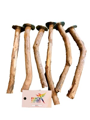 Fancy Feathers bird toys Dragonwood Natural bird perch Lot of 6 