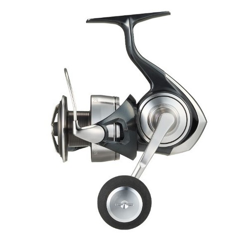 Daiwa 24 Certate SW günstig kaufen | Askari Angelshop