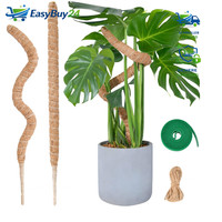 Moosstab Monstera 2 X 60Cm Biegsame Rankhilfe FüR Kletterpflanzen Indoor