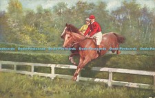 R558430 Steeplechasing Neck and Neck Horse Tuck Oilette 9118