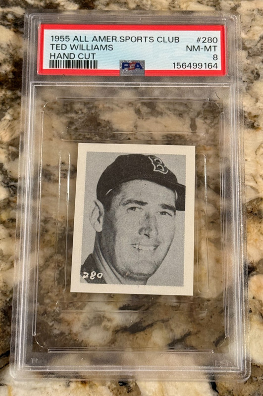 1955 All Amer. Sports Club Ted Williams #280 PSA 8 Freshly Graded Dead Centered
