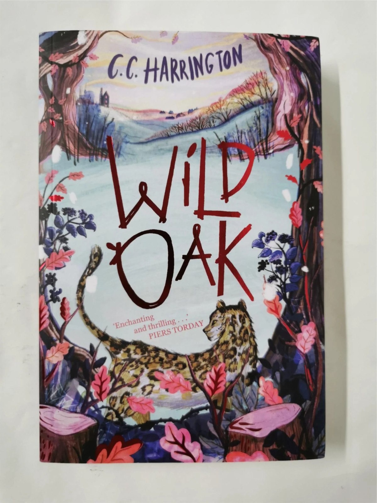 Wildoak: chosen as one of Amazon.com's best books of the year