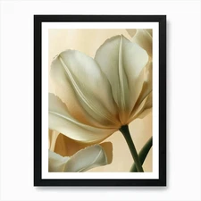 Green Beige Close Up Petals 6 1 Art Framed Wall Art Poster Canvas Print Picture