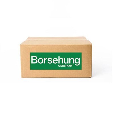 Steuerkettenset B10217 Borsehung