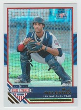 M.J. MELENDEZ 2017 USA Baseball Stars & Stripes Longevity Gold Team Logo /25