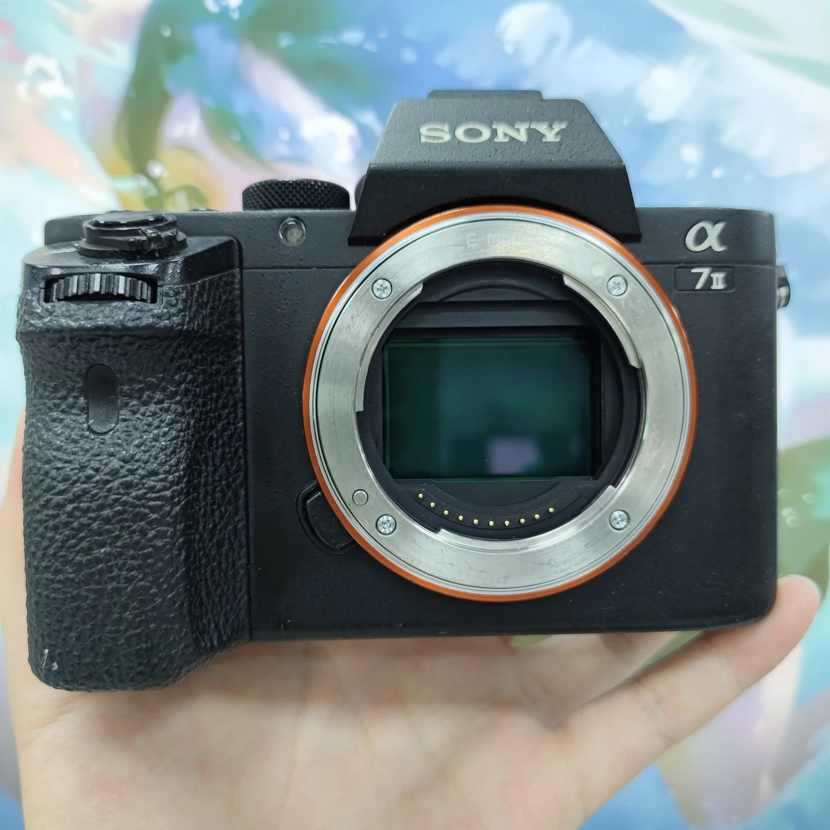 Las mejores ofertas en Cámaras digitales Sony Alpha A7II | eBay