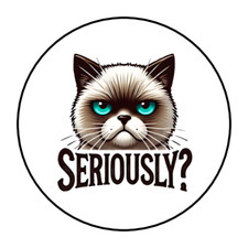 funny cat stickers envelope seals labels tags