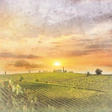 2PC PAPER HOUSE ITALIAN COUNTRYSIDE VINEYARD 12" SCRAPBOOK CARDSTOCK CARDMAKING