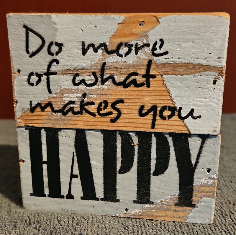 Rustic Wood Plaque Sign "Do More of What Makes You HAPPY" Vertical Painted