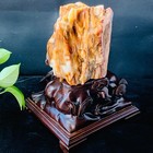 Foto 7 di 21