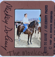 1980s MICKEY DOLENZ "THE MONKEES" ORIG CANDID Photo 35mm Slide Transparency #569 1980s MICKEY DOLENZ "THE MONKEES" ORIG CANDID Photo 35mm Slide Transparency #569