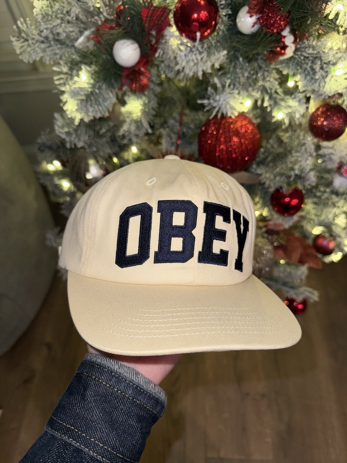 Obey Hat - image 1
