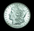1884 Morgan Silver Dollar BU Coin (T31)