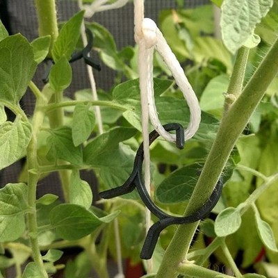 Pflanzenstütze Clips 100 Stück grün Kunststoff für Weinpflanzen Tomaten Frü