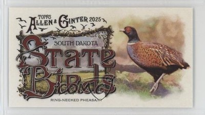 2025 Topps Allen & Ginter State Birds Mini Ring-Necked Pheasant South Dakota 8d2
