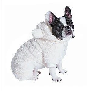 Ugg puppy 2025