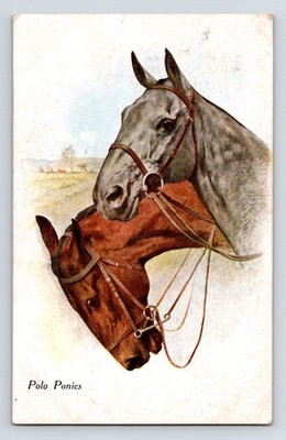 Tiere: Postkarten mit zwei Pferdekopf. Post 1933-38.