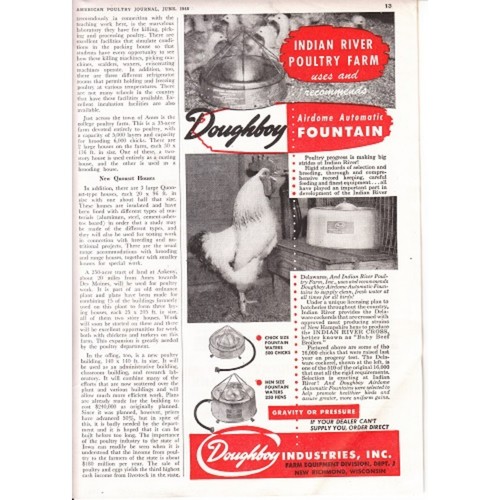 American Poultry Journal Magazine June 1948 Farming Advertisement Chicks Chicken - Picture 2 of 4