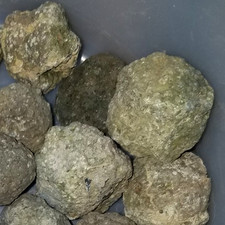 (1 LB LOT) = 16 to 20 Oregon CAPPED Thundereggs Rough Lapidary Bulk JoNGD:rocks