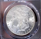 MORGAN SILVER DOLLAR 1884 CC PCGS MS 63 BLAZING WHITE SATIN BEAUTY