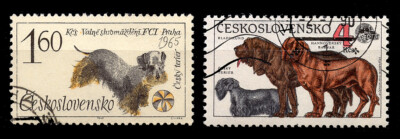 CESKY TERRIER CZECHOSLOVAKIA DOG POSTAGE STAMPS x 2 1965 & 1990