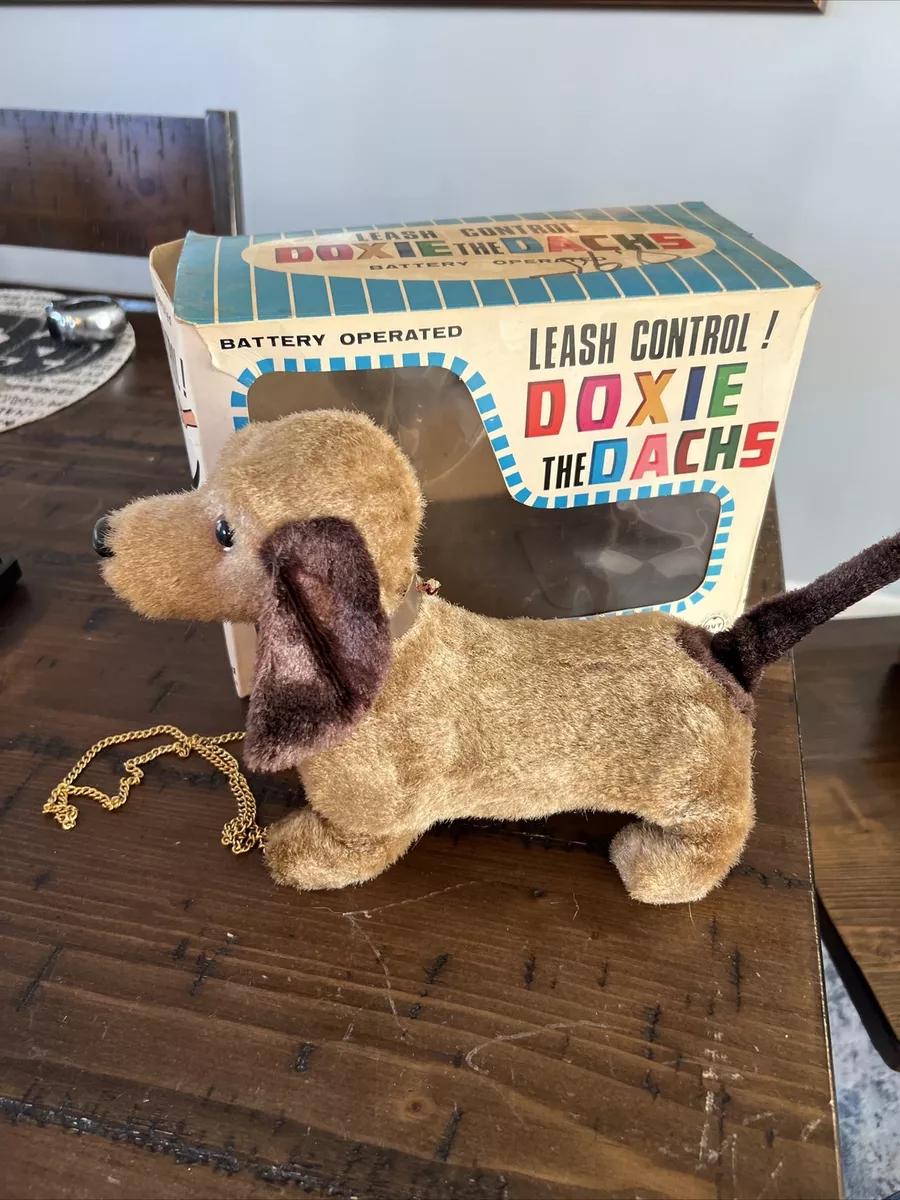 Walking dog top toy with leash