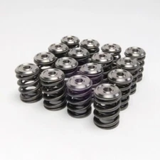 Skunk2 Alpha Valve Springs + Titanium Retainer Kit For Honda B16 B17 B18 Vtec