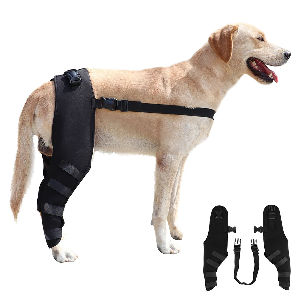 Dog Rear Leg Brace Support Joint Knee Hind Wrap Compression Pet Injury  Arthritis