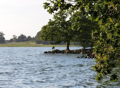 Photo A2 The shoreline at Hambleton Wood Upper Hambleton This is on the  c2012