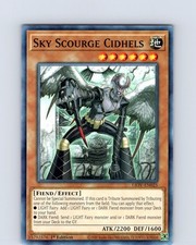 Yu-Gi-Oh TCG Sky Scourge Cidhels LIOV-EN025 1st Edition Common Card NM