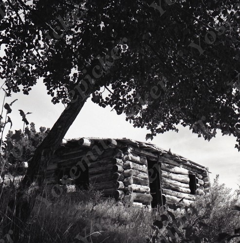 A15 Original Negative 1965 Nevada Lehman old House 907a