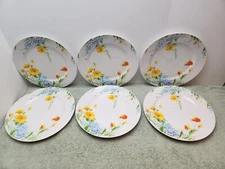 Imperial China JUST SPRING Dinner Plates Set of 6